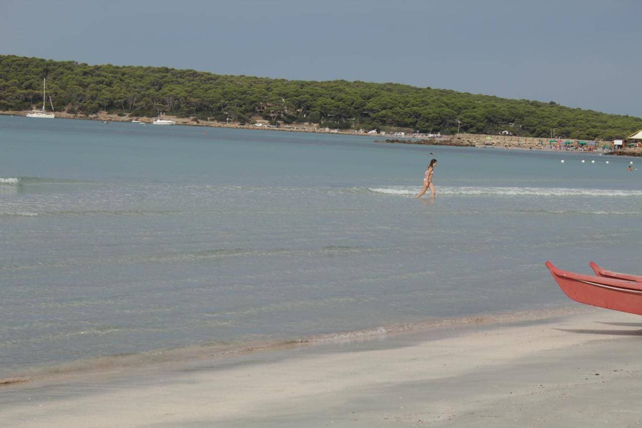 Foto 12 von 19: Holiday Home