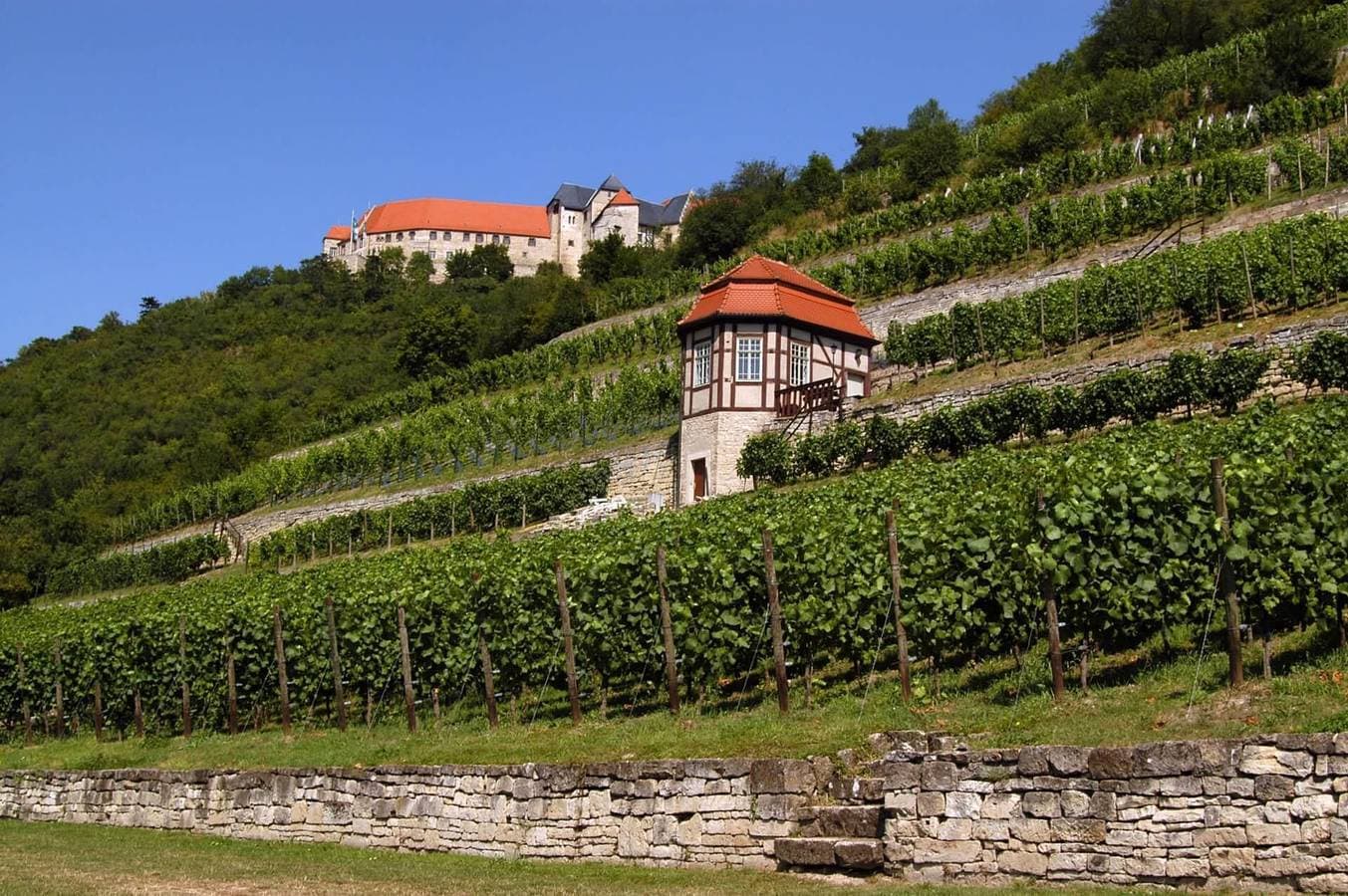 Foto 10 von 16: Ferienhaus Biber für 2 Personen
