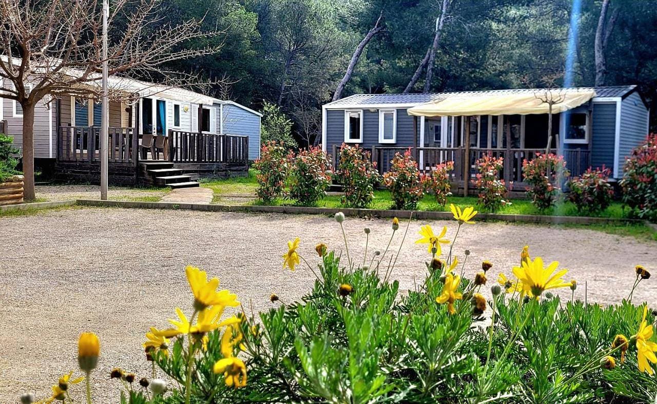 Foto 4 von 15: Two Bedroom Mobile Home (4 adults) - 29 m2