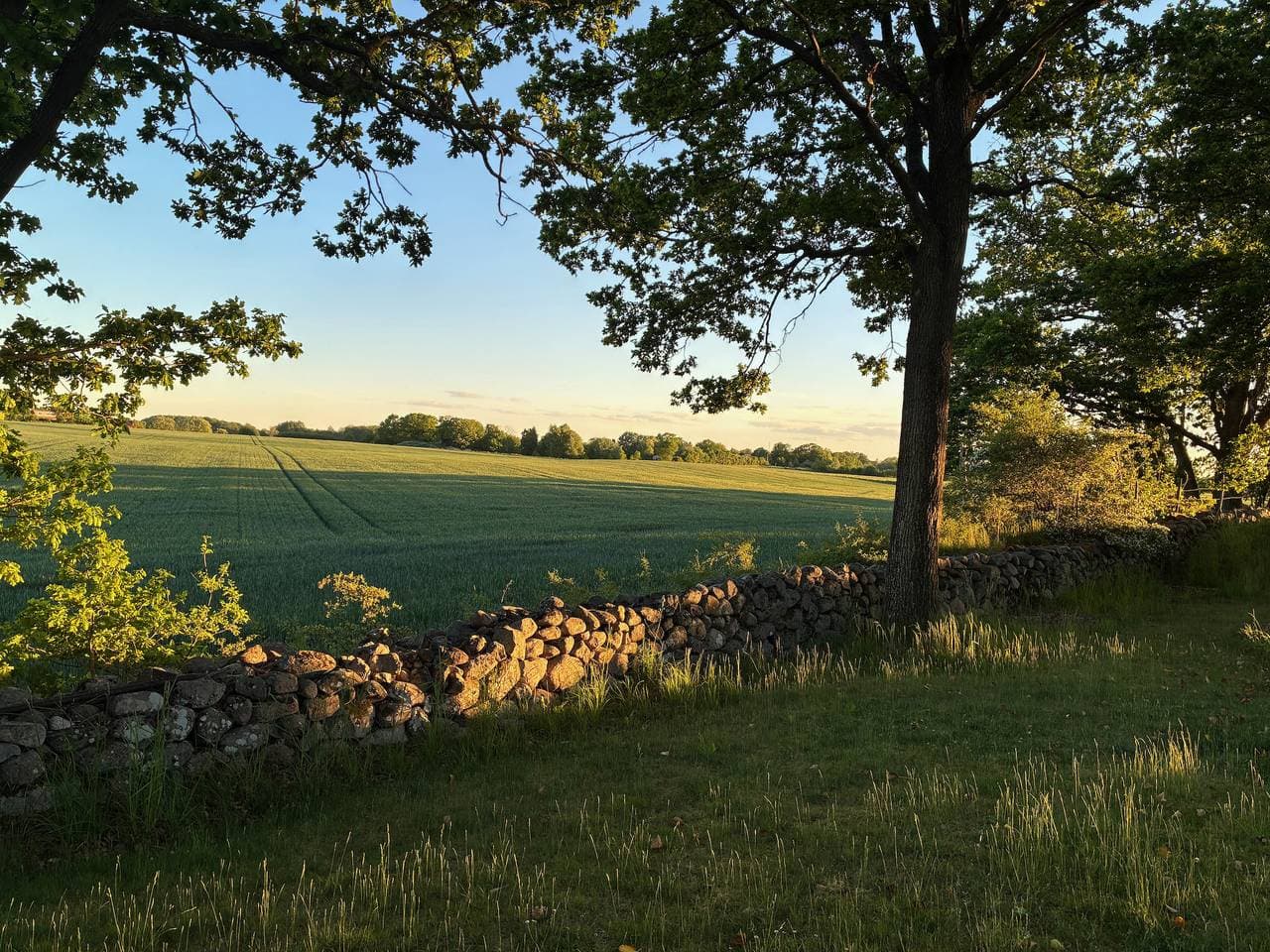 Foto 10 von 106: Bezauberndes Ferienhaus in Småland am Meer mit Sauna