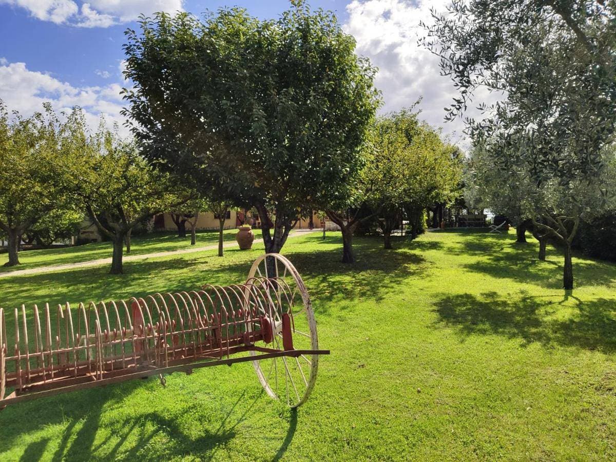Foto 4 von 19: Quadruple Room with Garden View