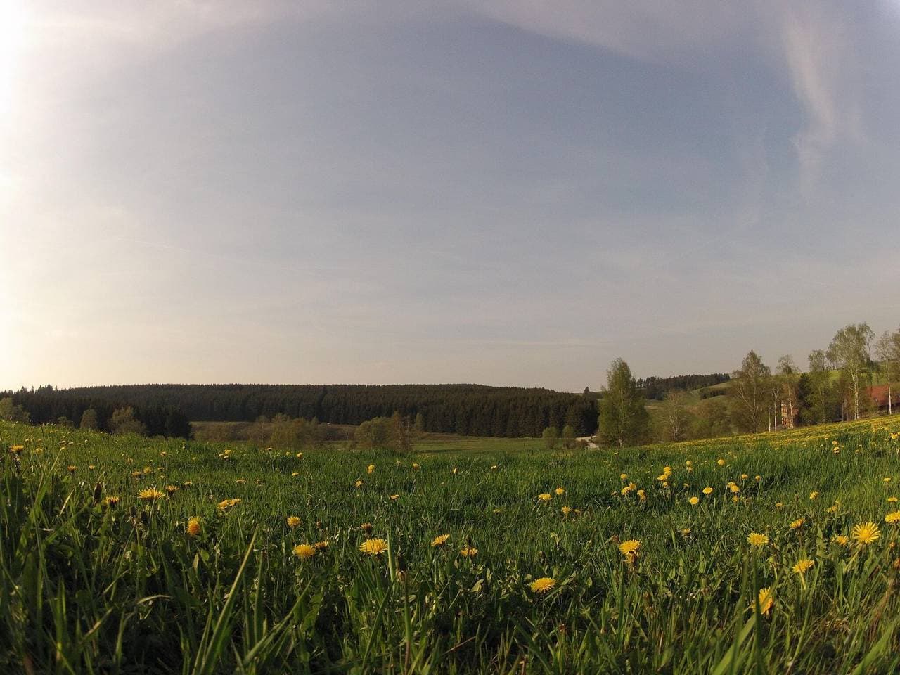 Foto 10 von 35: Doppelhaushälfte in Hasselfelde