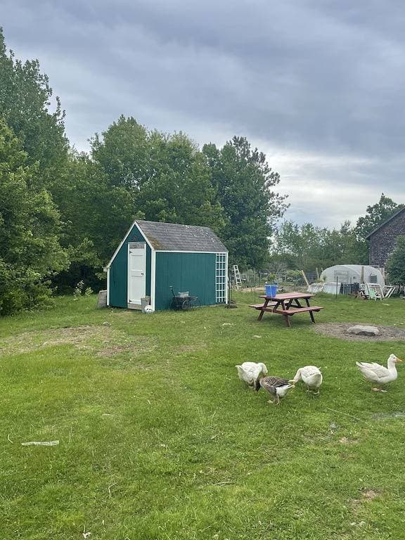 Foto 12 von 12: Sun Shed Farm Stay