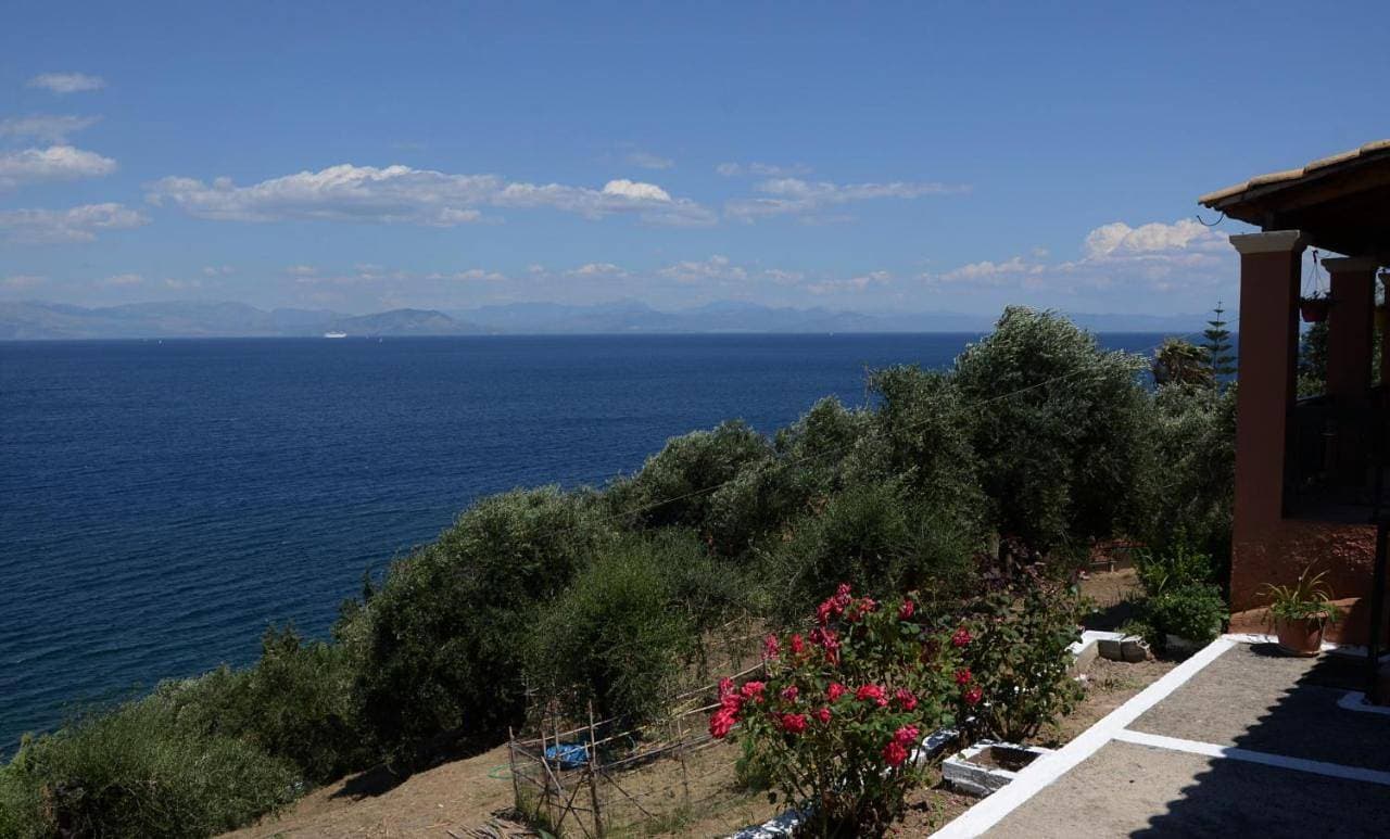 Foto 3 von 11: Villa with Sea View