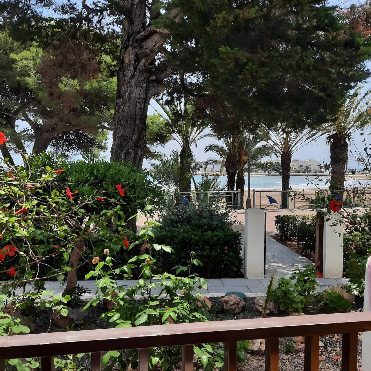 Apartamento Frente Al Mar 1