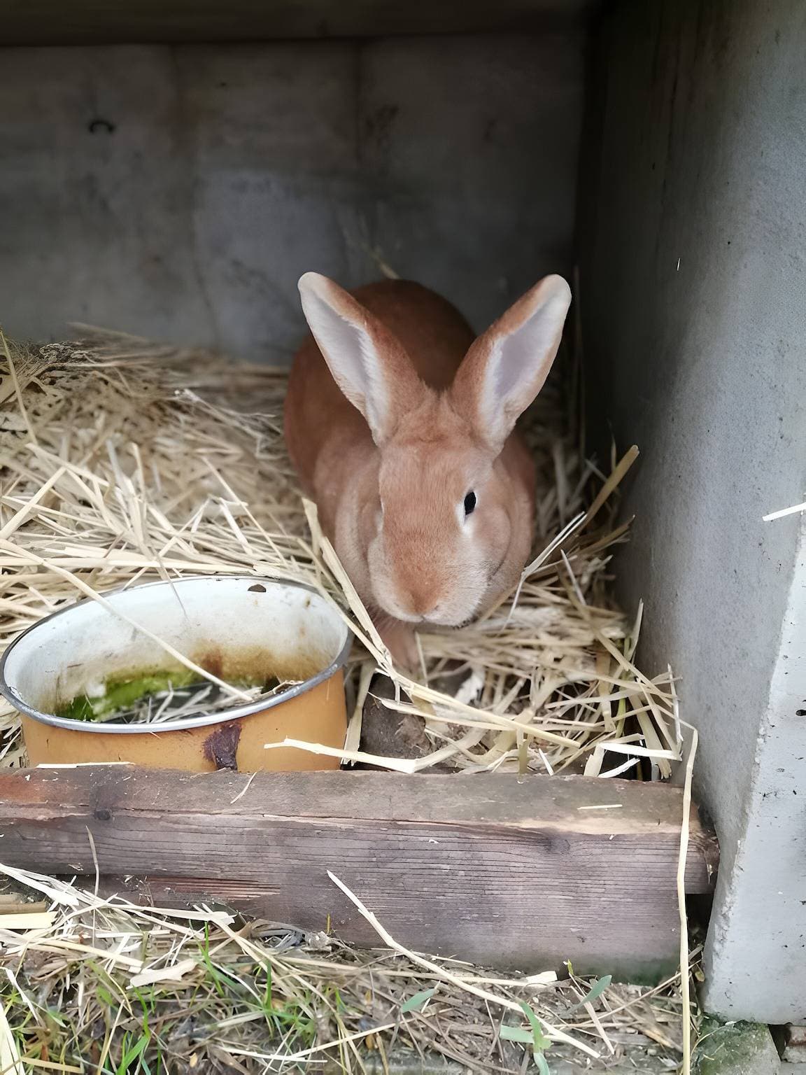 Foto 13 von 21: Ferienhaus 'Gîte Du Pré Charmant' mit privatem Garten und WLAN