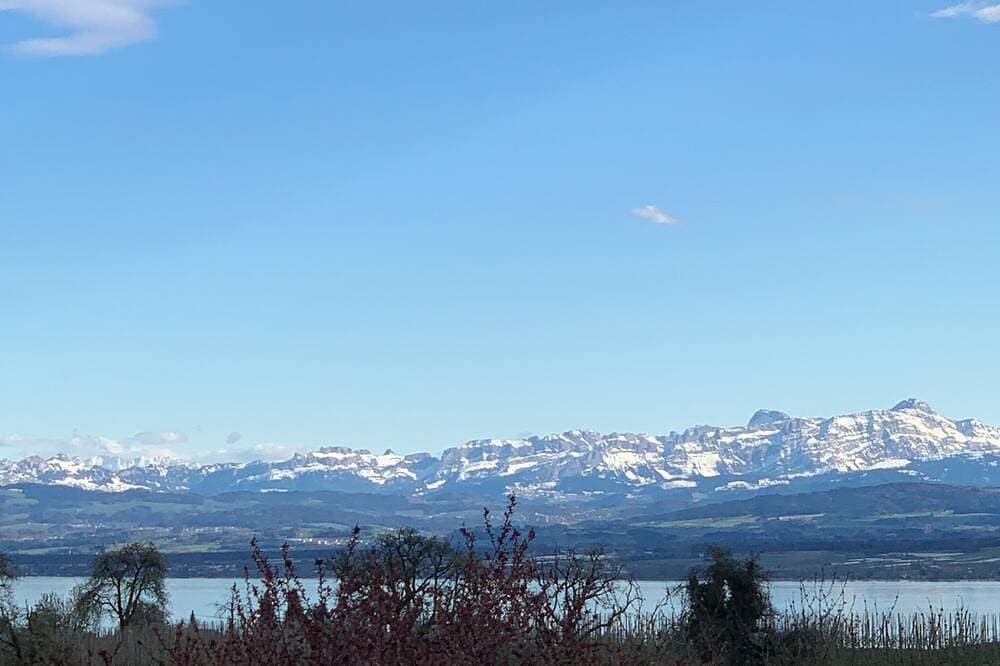 Foto 9 von 10: Moderne helle Ferienwohnung am Bodensee Meersburg See und Bergsicht Urlaub, Hund