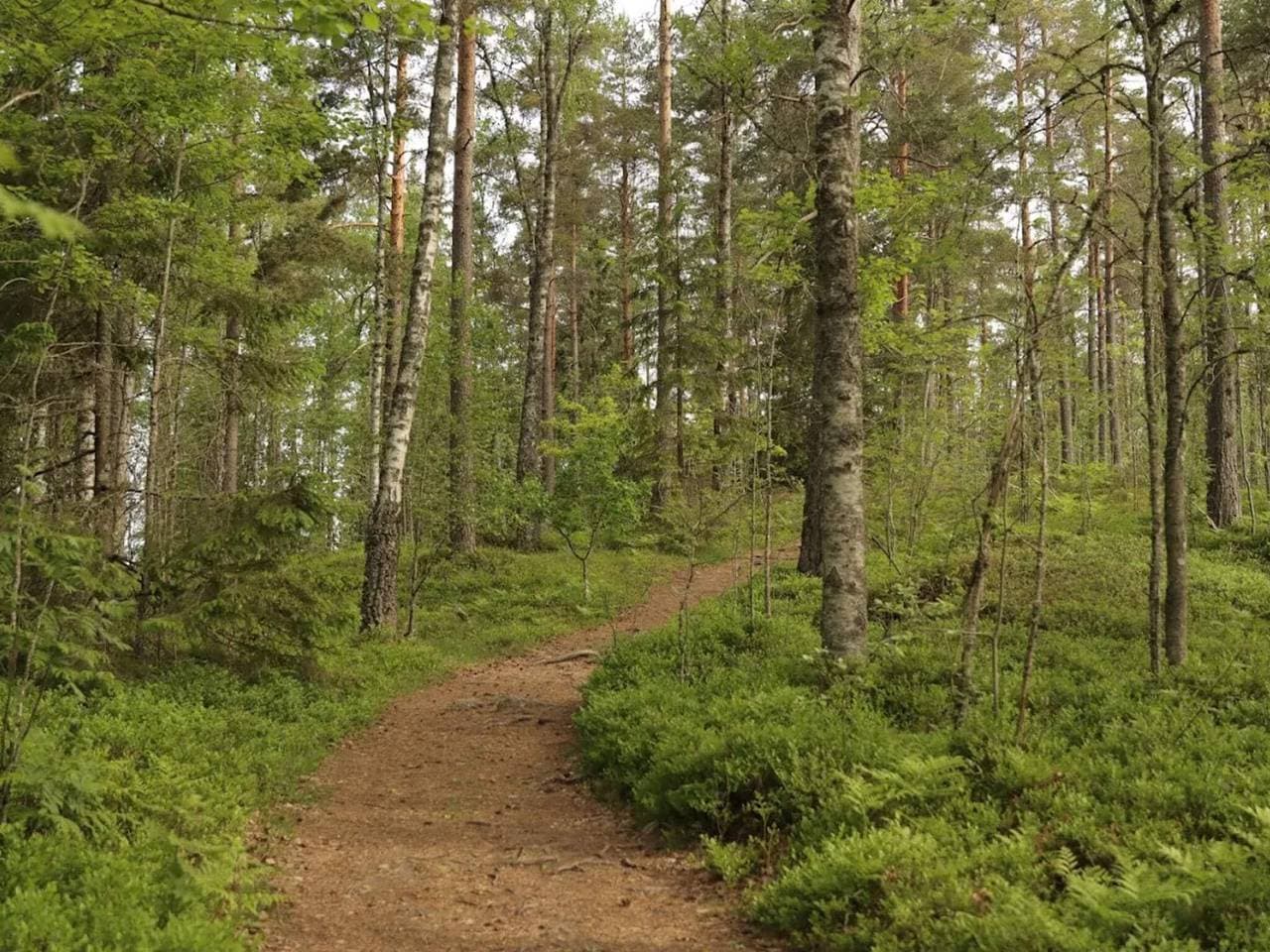 Foto 4 von 41: 5 Personen Ferienhaus in Tenhult/Jönköping