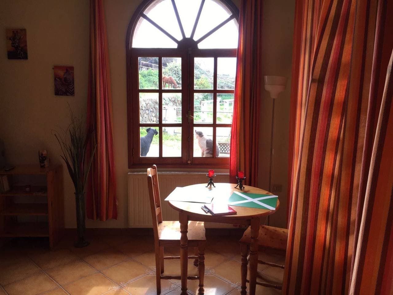Foto 3 von 10: Wohnung mit Gemeinschaftspool und Panoramablick