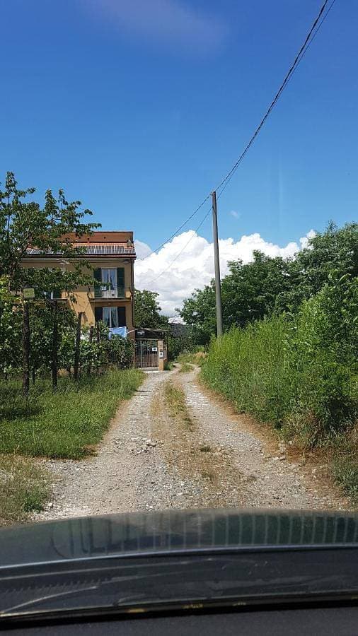 Buio Pesto 1