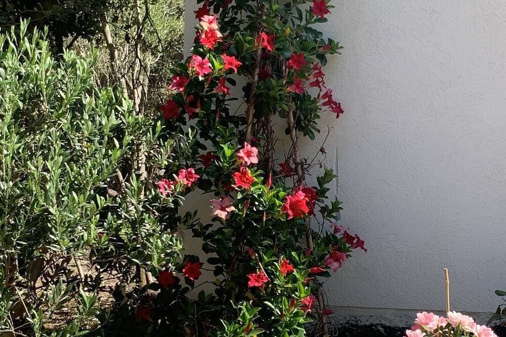 Foto 11 von 24: Magnifique Petite Maison de Campagne de 43 m2 à 3 min de la Plages de Maora