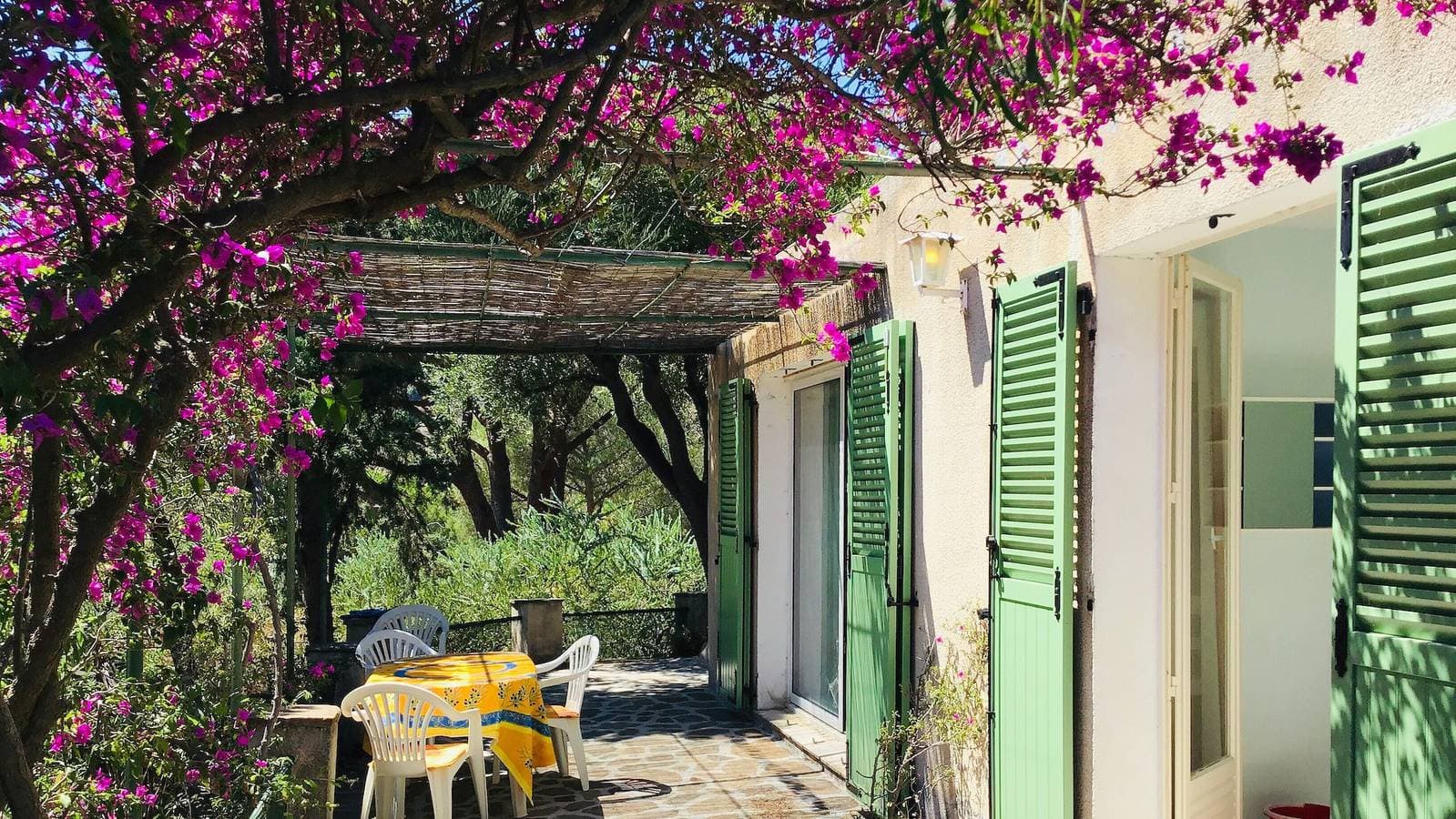 Domaine Anoutous, Perry 1