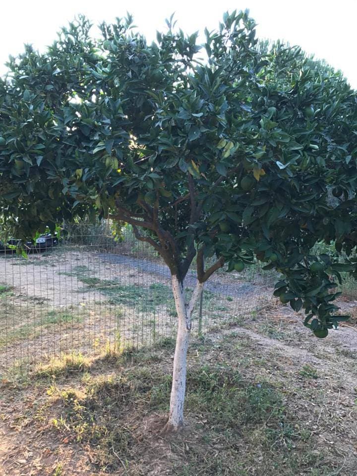 Foto 13 von 63: Holiday Home