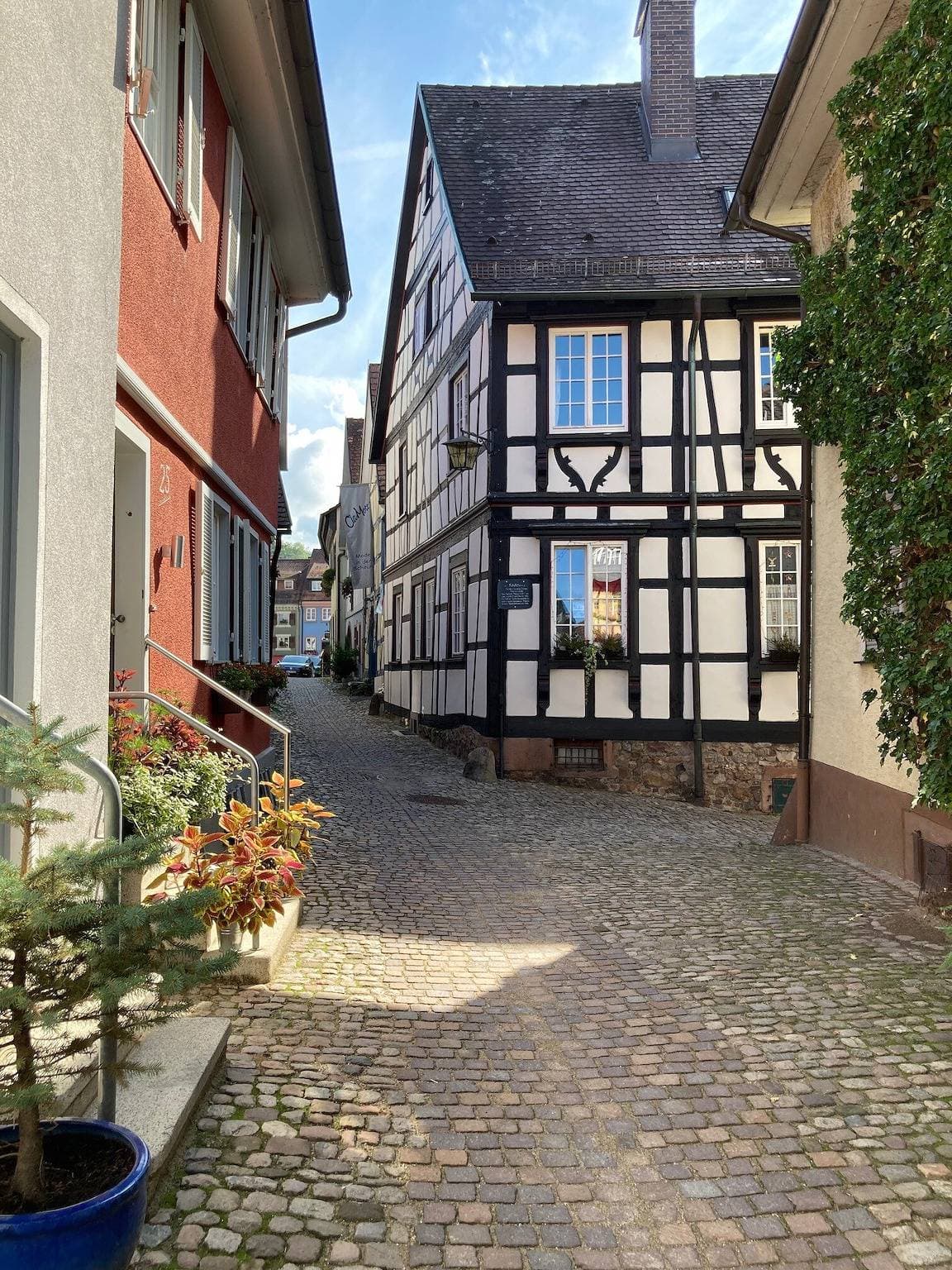 Foto 3 von 17: Einzimmerapartment "Scheffelhaus" mit WLAN