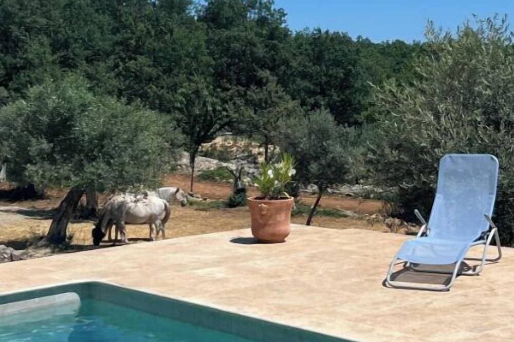 Nature gite - Provence 1