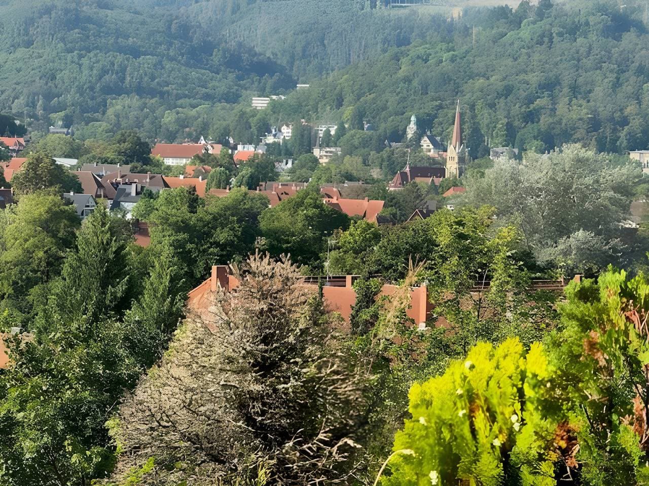Foto 12 von 14: Apartment 'Terrassenappartment im Harz' mit Bergblick, privater Terrasse und WLAN