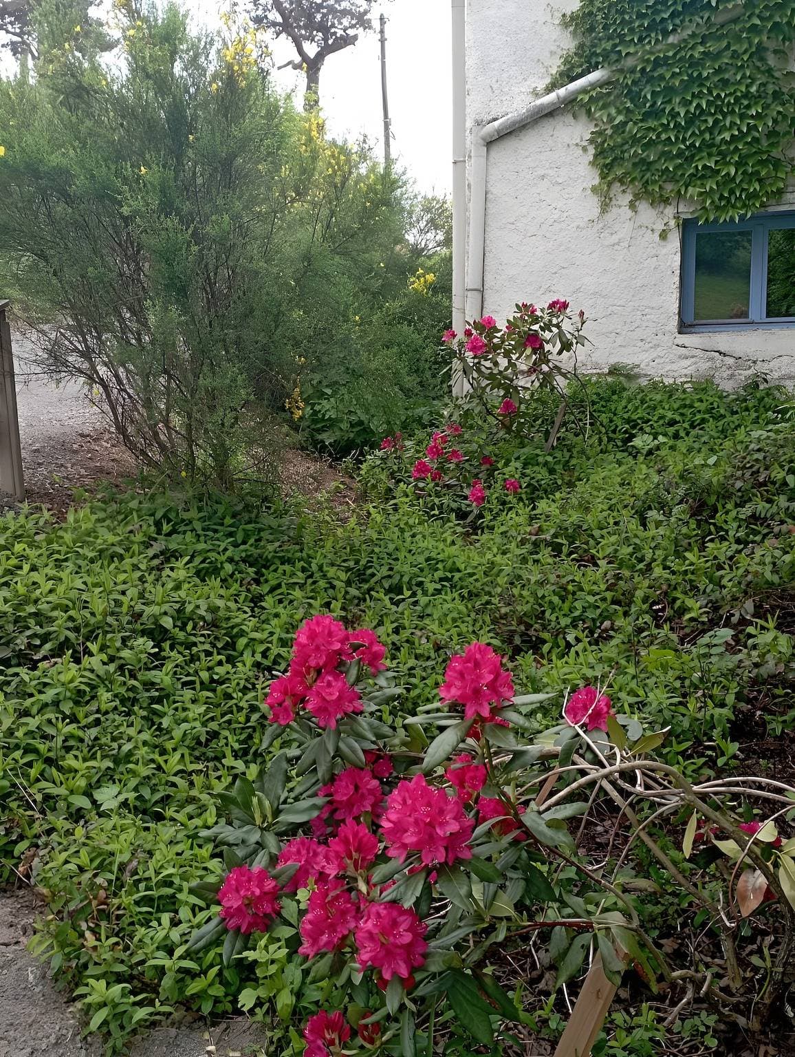 Foto 7 von 30: Bed & Breakfast 'Chambre Velours' mit Gemeinschaftspool, Terrasse und Garten