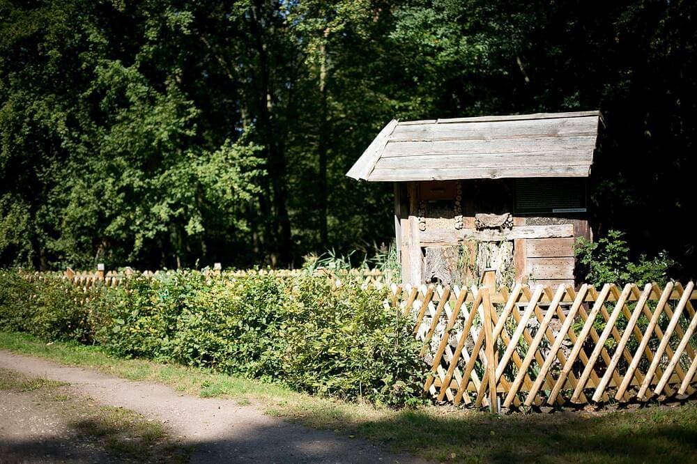Foto 8 von 20: Herbst - Zimmer 3 - Forsthaus Leiner Berg