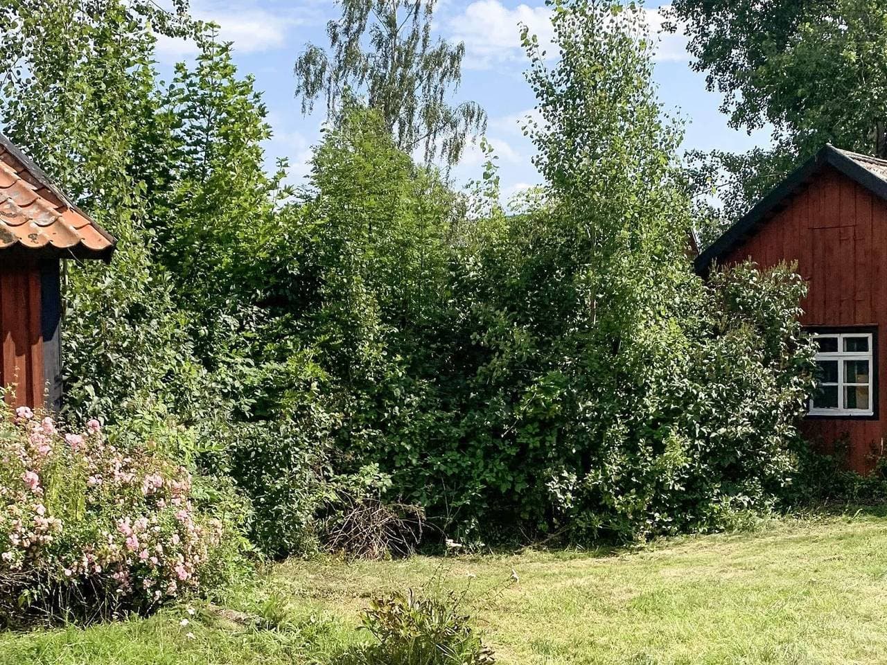 Foto 4 von 23: 6 Personen Ferienhaus in Loftahammar