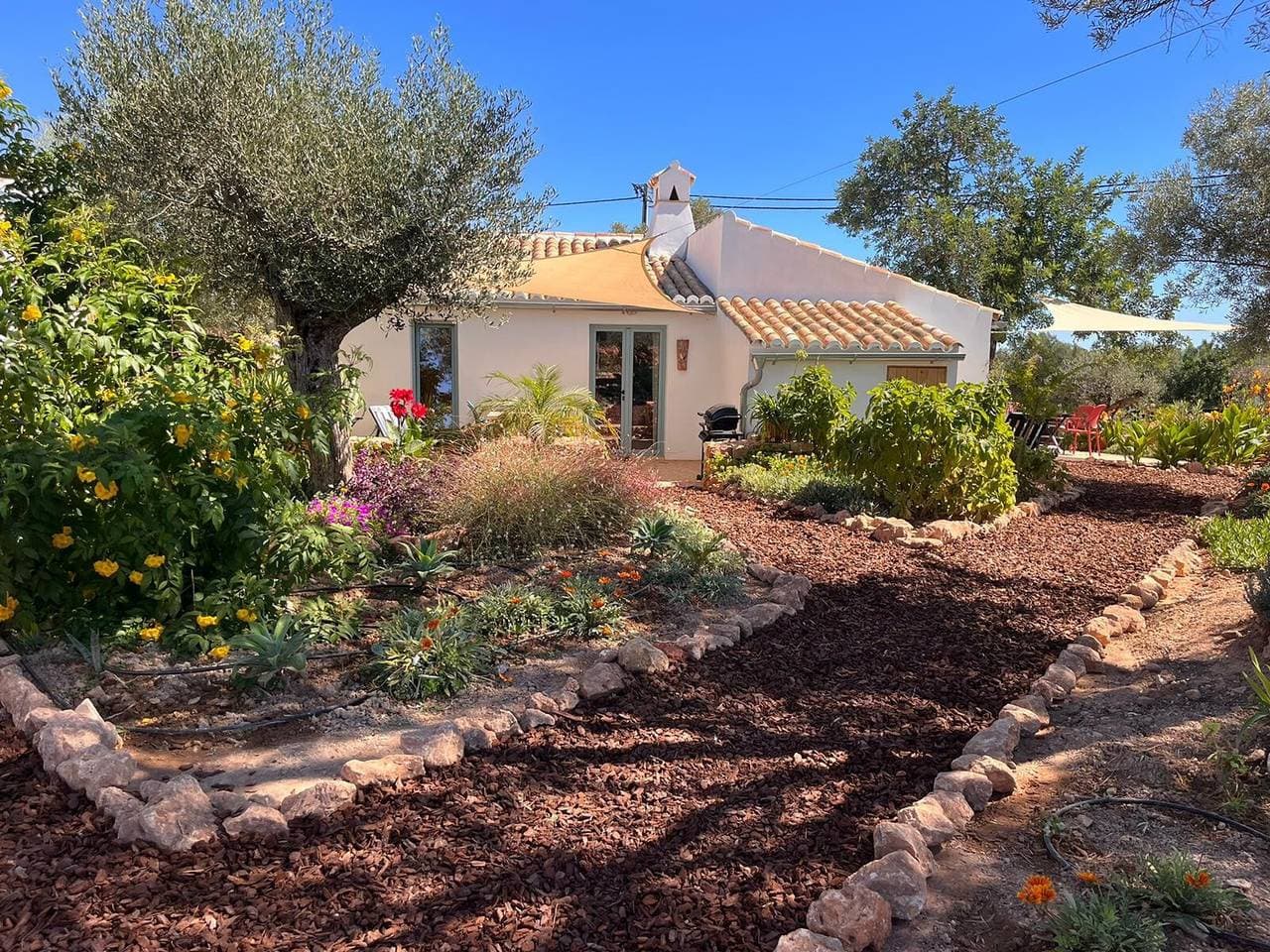 Casa Frango 1