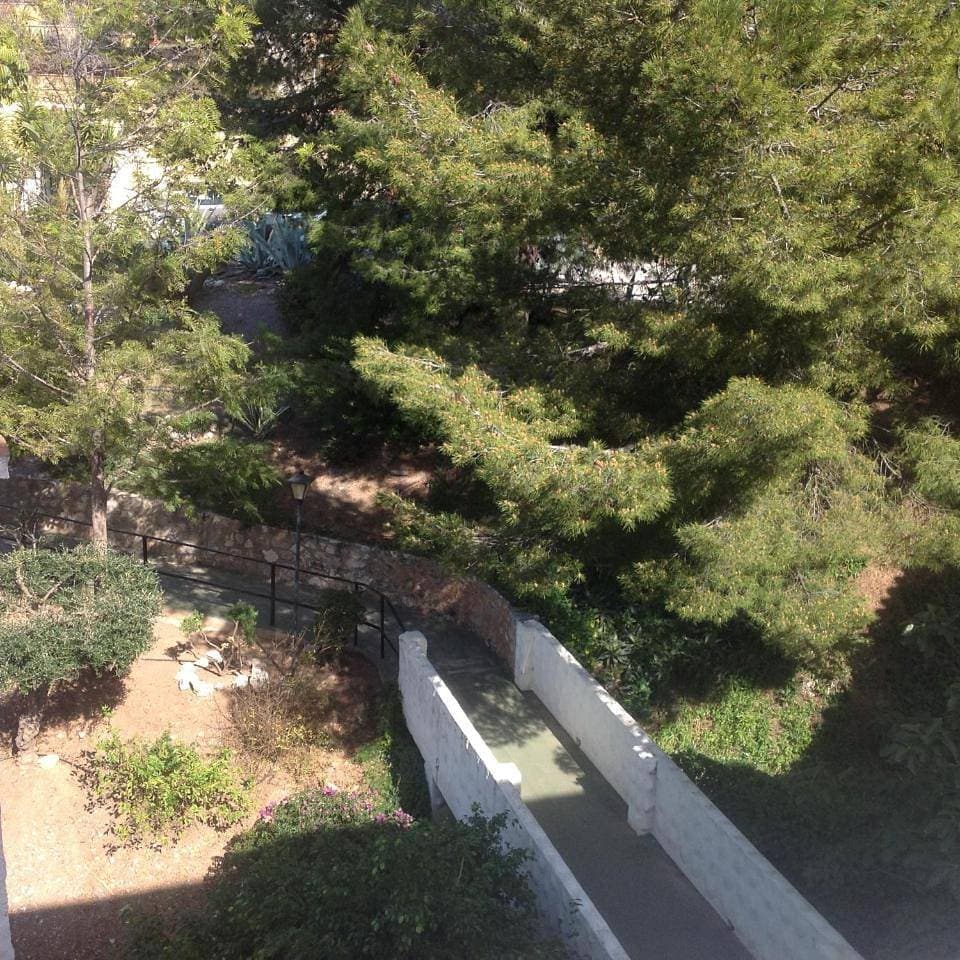 Foto 12 von 22: Apartment with Sea View