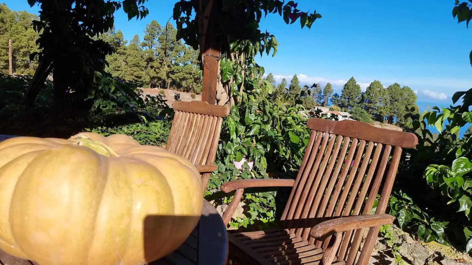 Foto 13 von 30: Casa Regina mit privatem Pool, privater Terrasse und WLAN