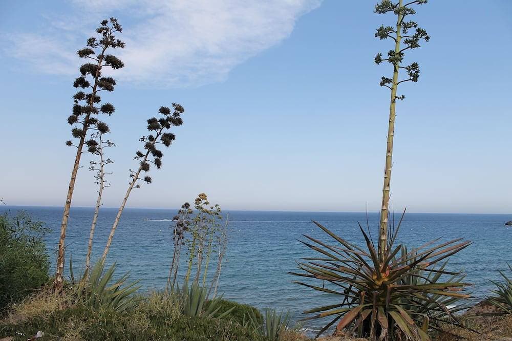 Foto 12 von 18: Ferienwohnung in La Isletta del Moro, Cabo de Gata, Almería