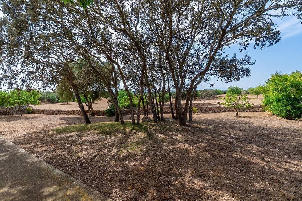 Foto 9 von 30: Lovely home in Felanitx with private swimming pool, can be inside or outside