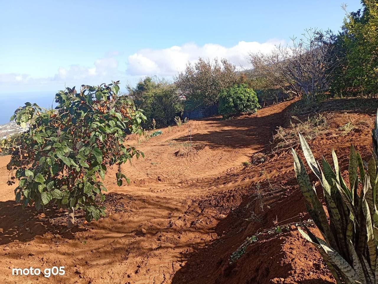 Foto 6 von 45: "El pajal House Relax"