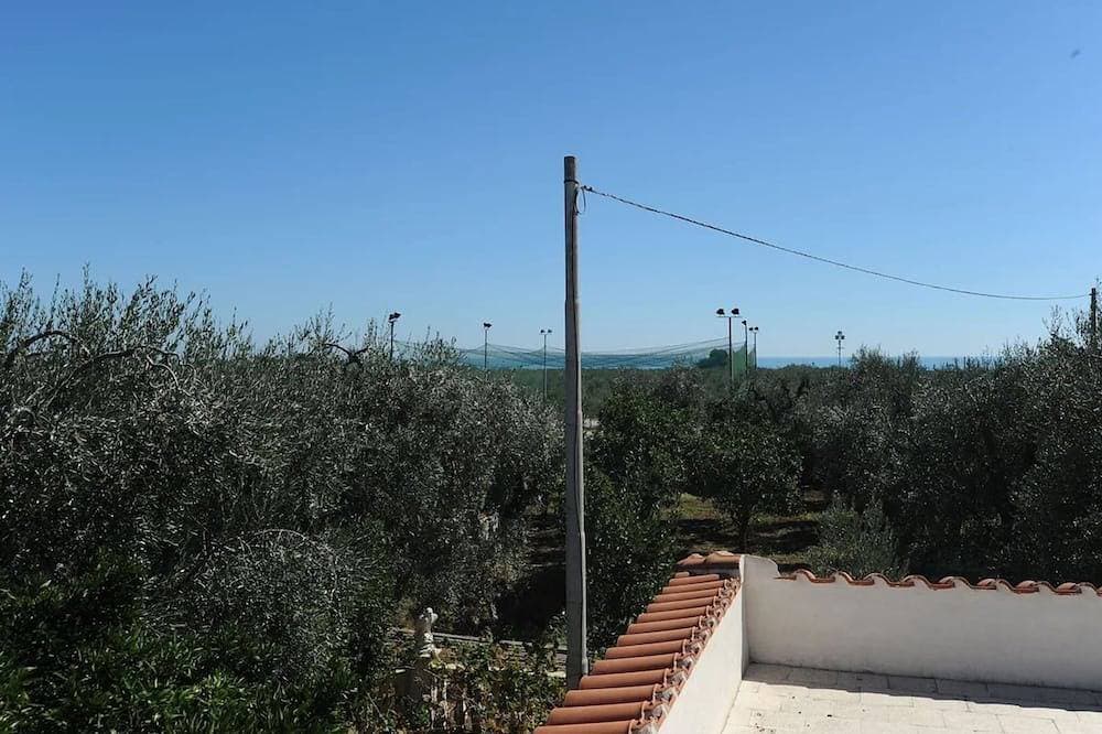Foto 13 von 29: Komplett eingezäunt in einer fantastischen Agrumeto Villa umgeben