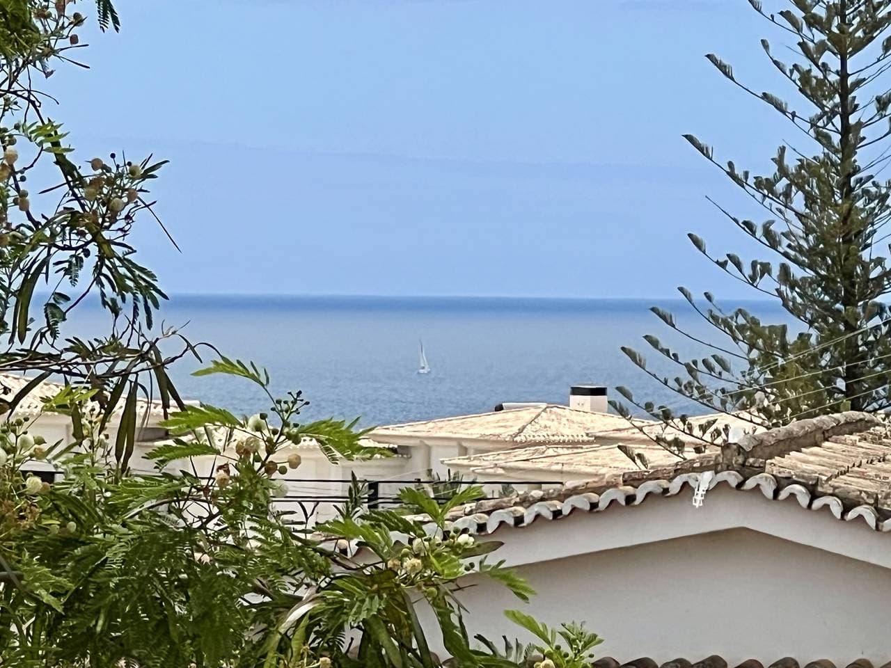 Foto 13 von 29: Carvoeiro Ocean Breeze
