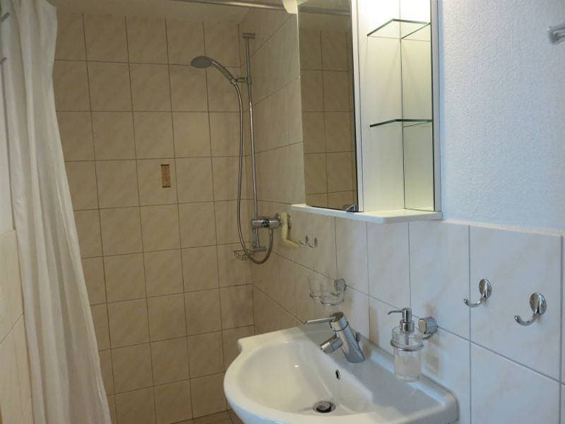 Foto 12 von 13: Ferienwohnung BioHof Casutt, Tenna - 1 Zimmer Ferienwohnung für max. 2 Pers.