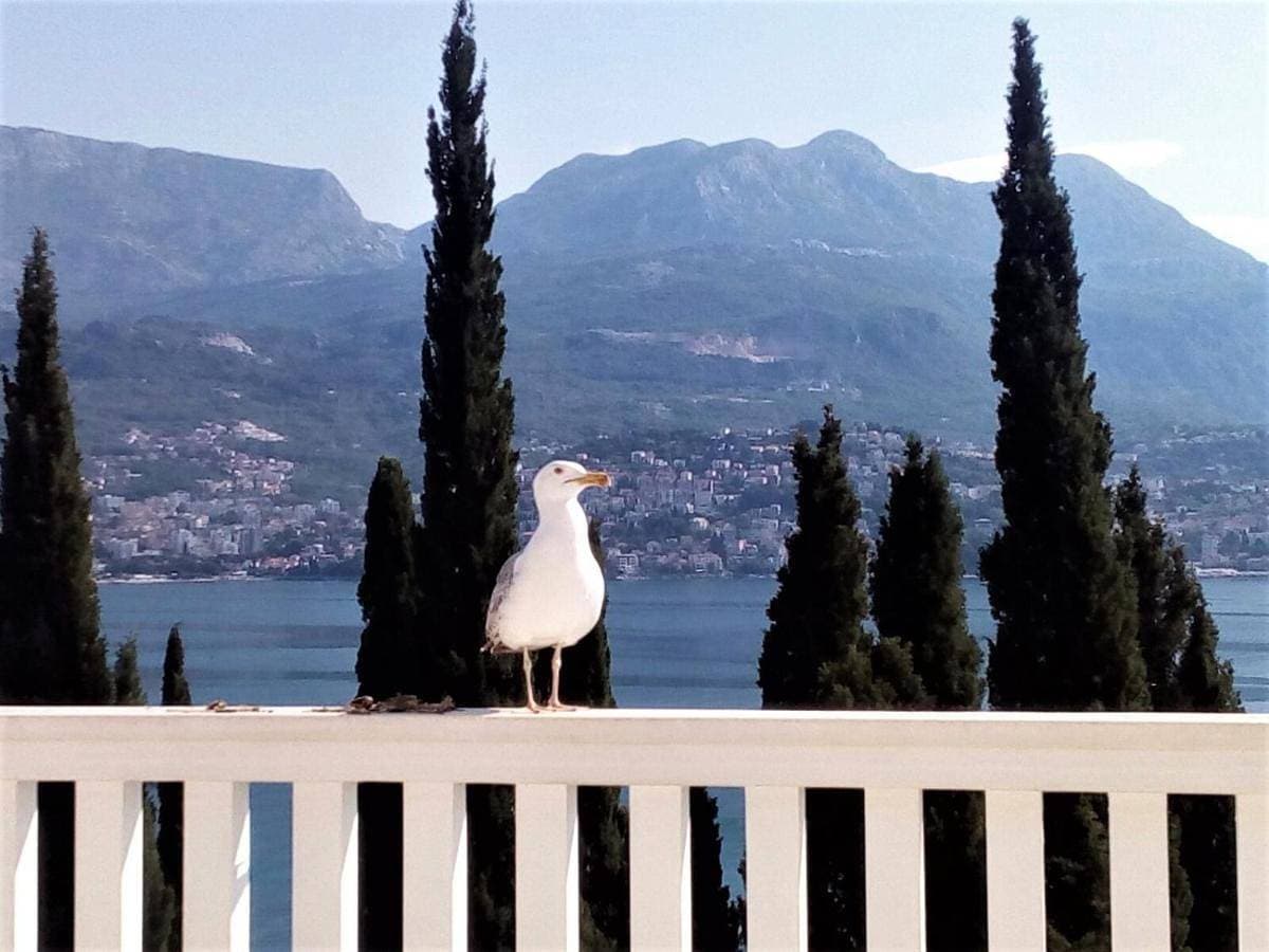Villa Boka Sunrise Apartments 1