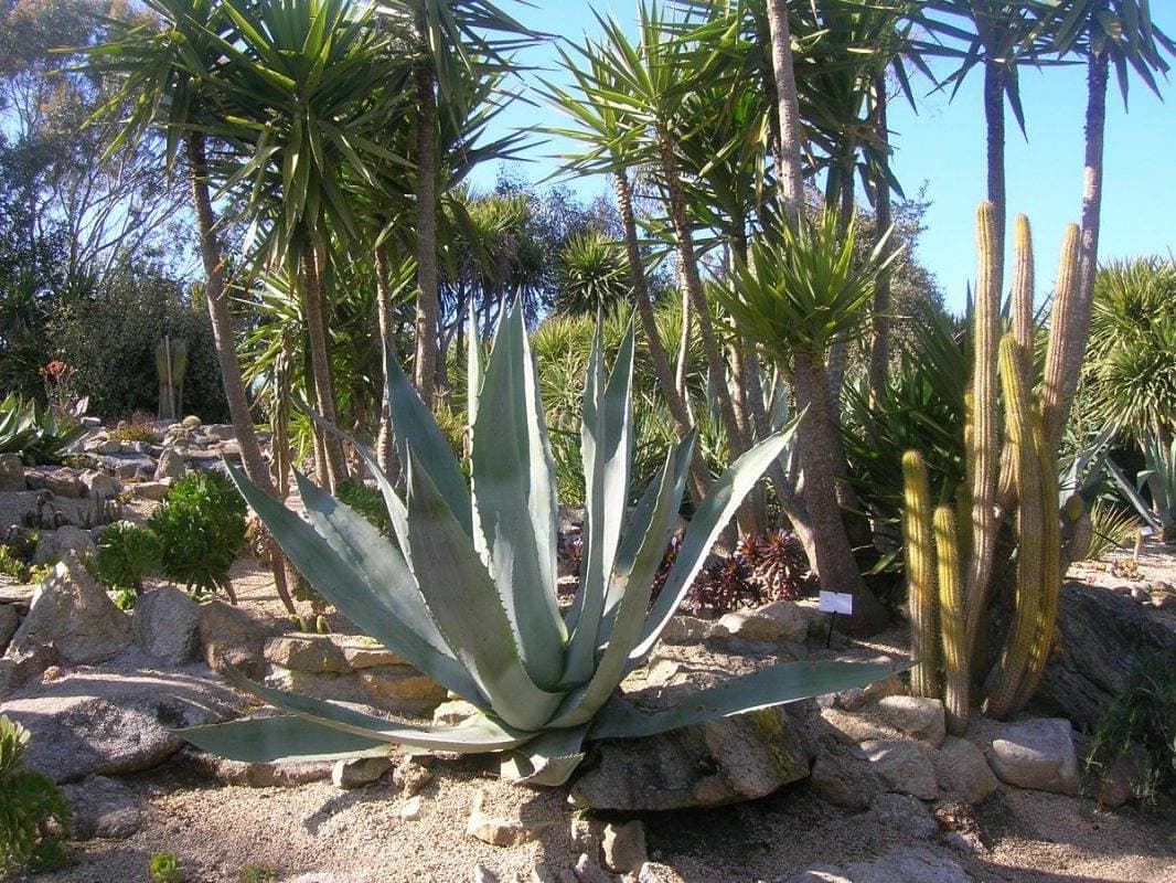Foto 13 von 29: Ar Chaden