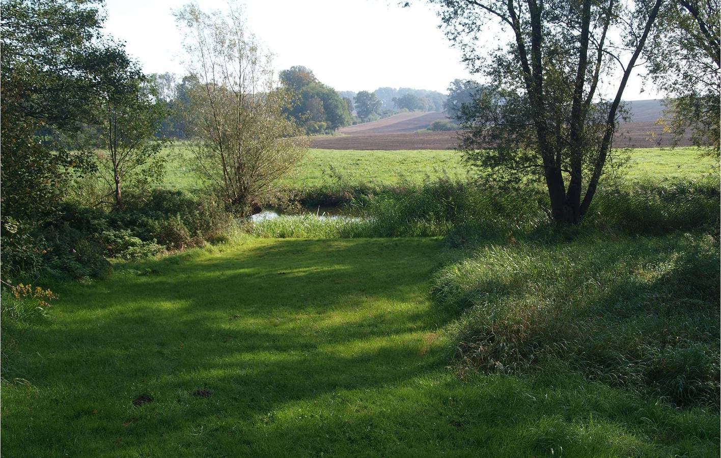 Foto 10 von 11: Rückzugsort am Fluss: Garten, Terrasse, Parkplatz - Warnow 200m