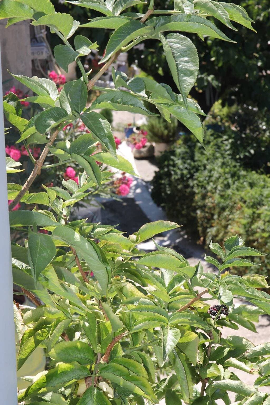 Foto 5 von 20: Ferienhaus für 4 Personen mit Garten