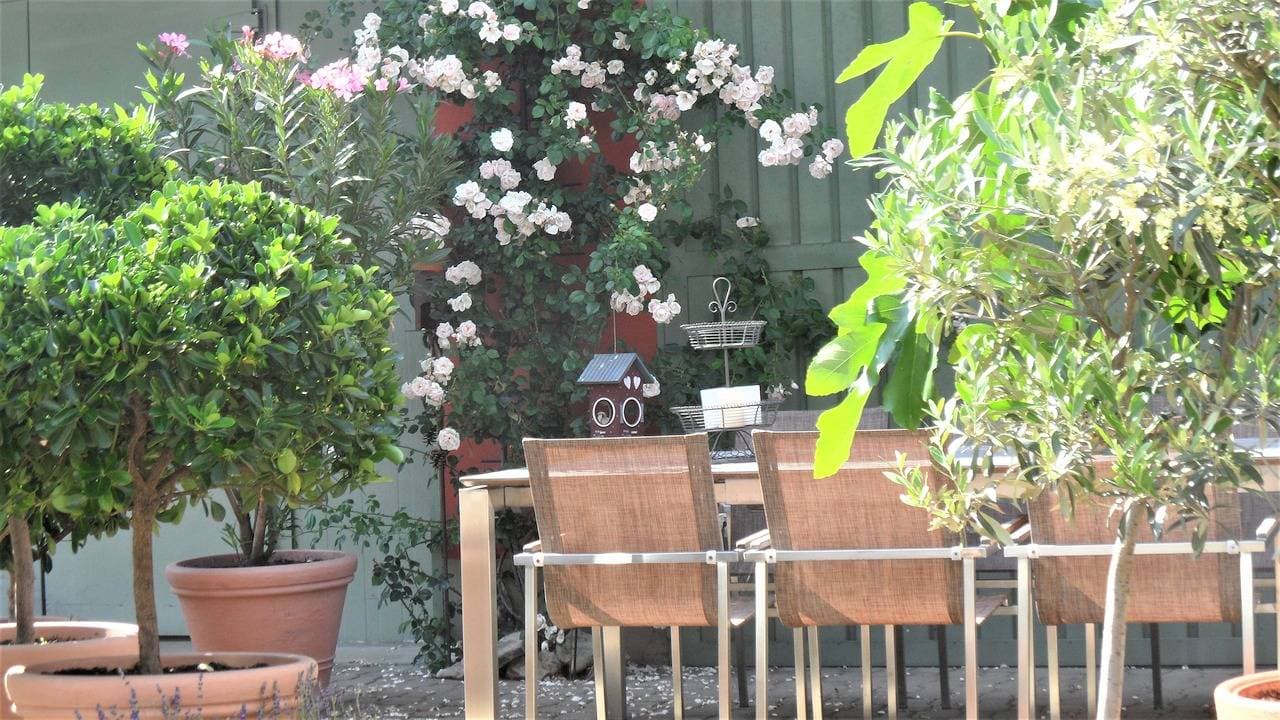 Foto 7 von 8: Weingut - Ferienwohnung Rudloff - Nordheimer Vögelein