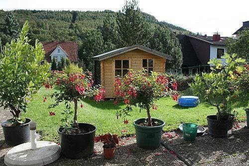 Foto 6 von 11: Haus Schneider, kleine Ferienwohnung
