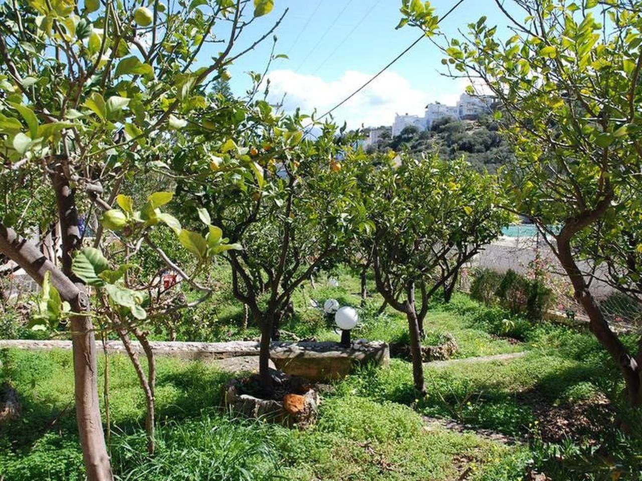 Foto 13 von 15: Ruhiger Ort mit ausblühendem Garten
