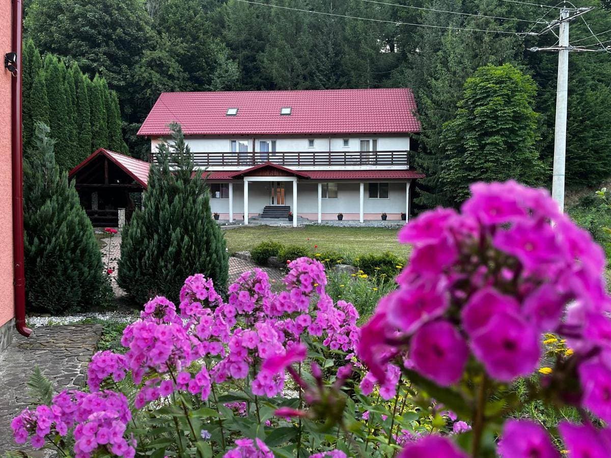 Vacation villa Sucevița 1