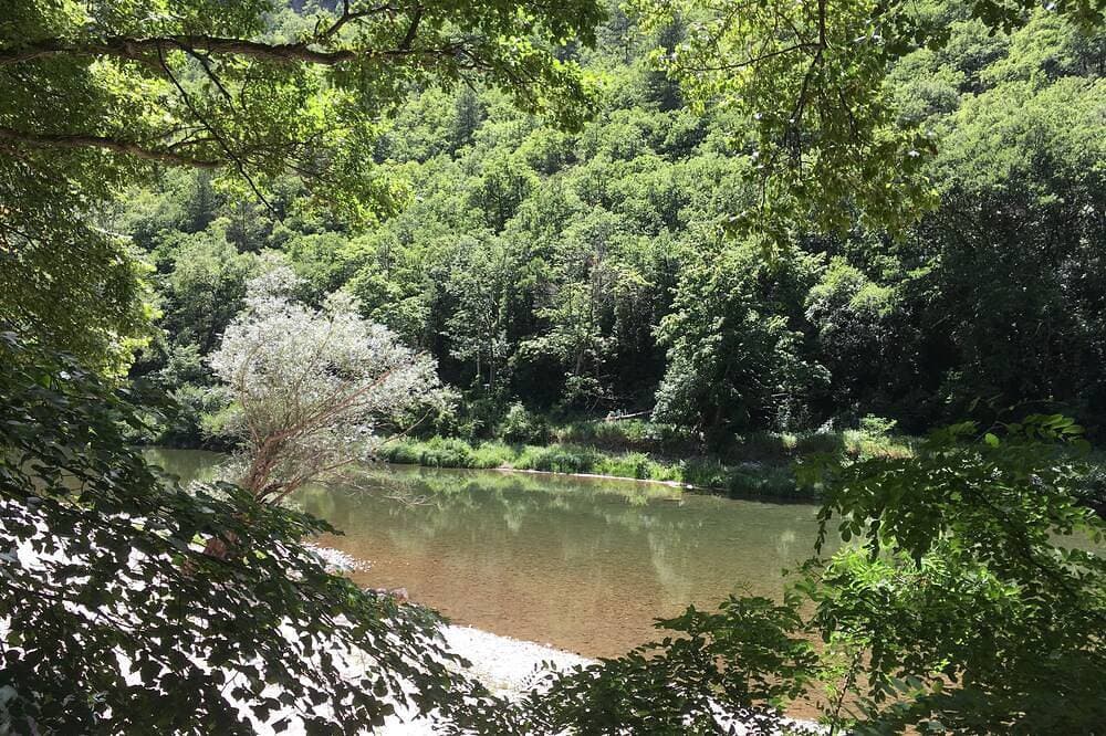 Foto 9 von 23: Typische Unterkunft in Lozerienne, Zugang zum Fluss Tarn - Kanu inklusive.