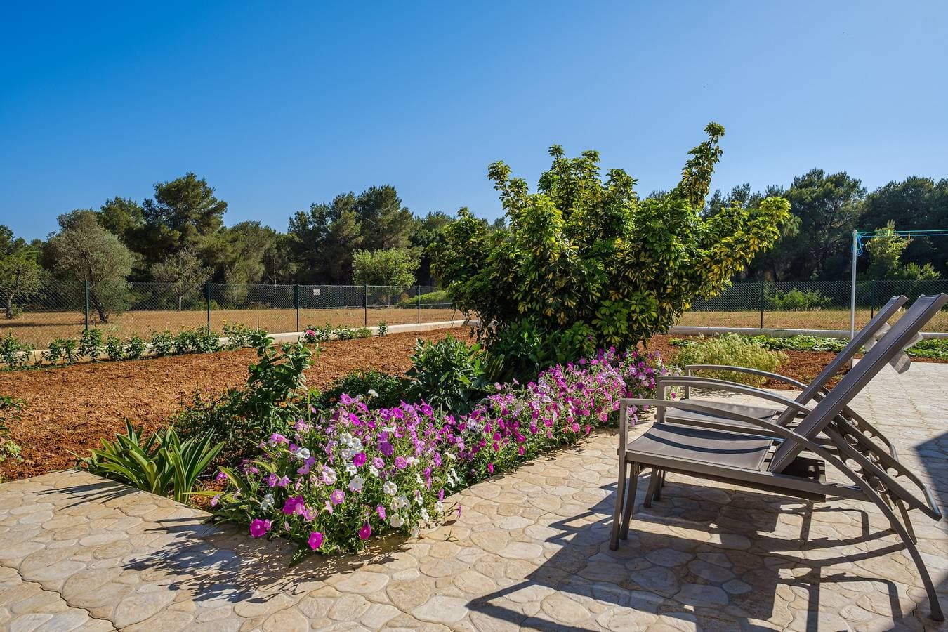 Foto 6 von 25: Ibizenkische Finca mit Veranda, Gemüsegarten, Sonnenterrasse und WLAN