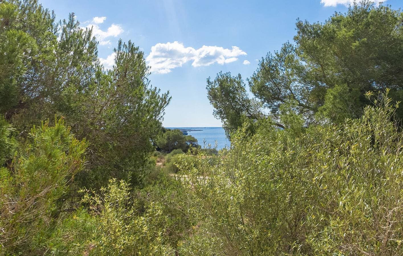 Foto 12 von 31: Apartment mit Meerblick, Terrasse und Pool, 100m zum Strand