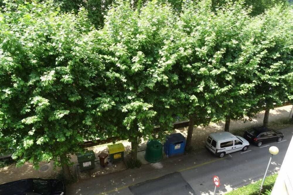Foto 12 von 29: Ferienwohnung Olot