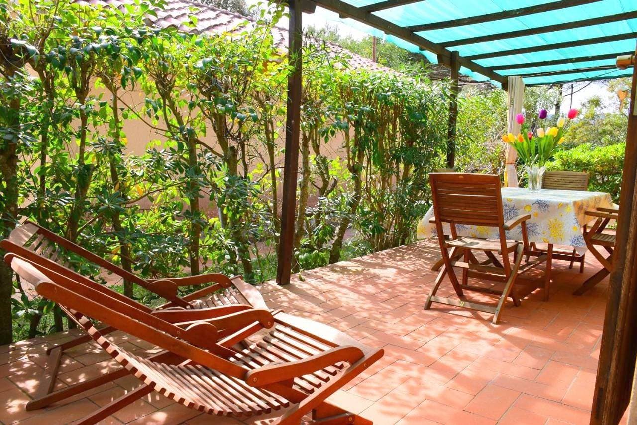 Lacona 1