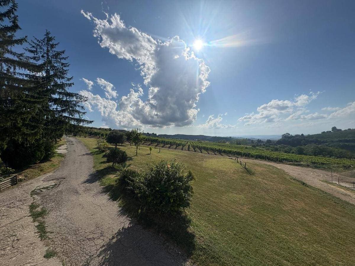 Langhe da cartolina 1