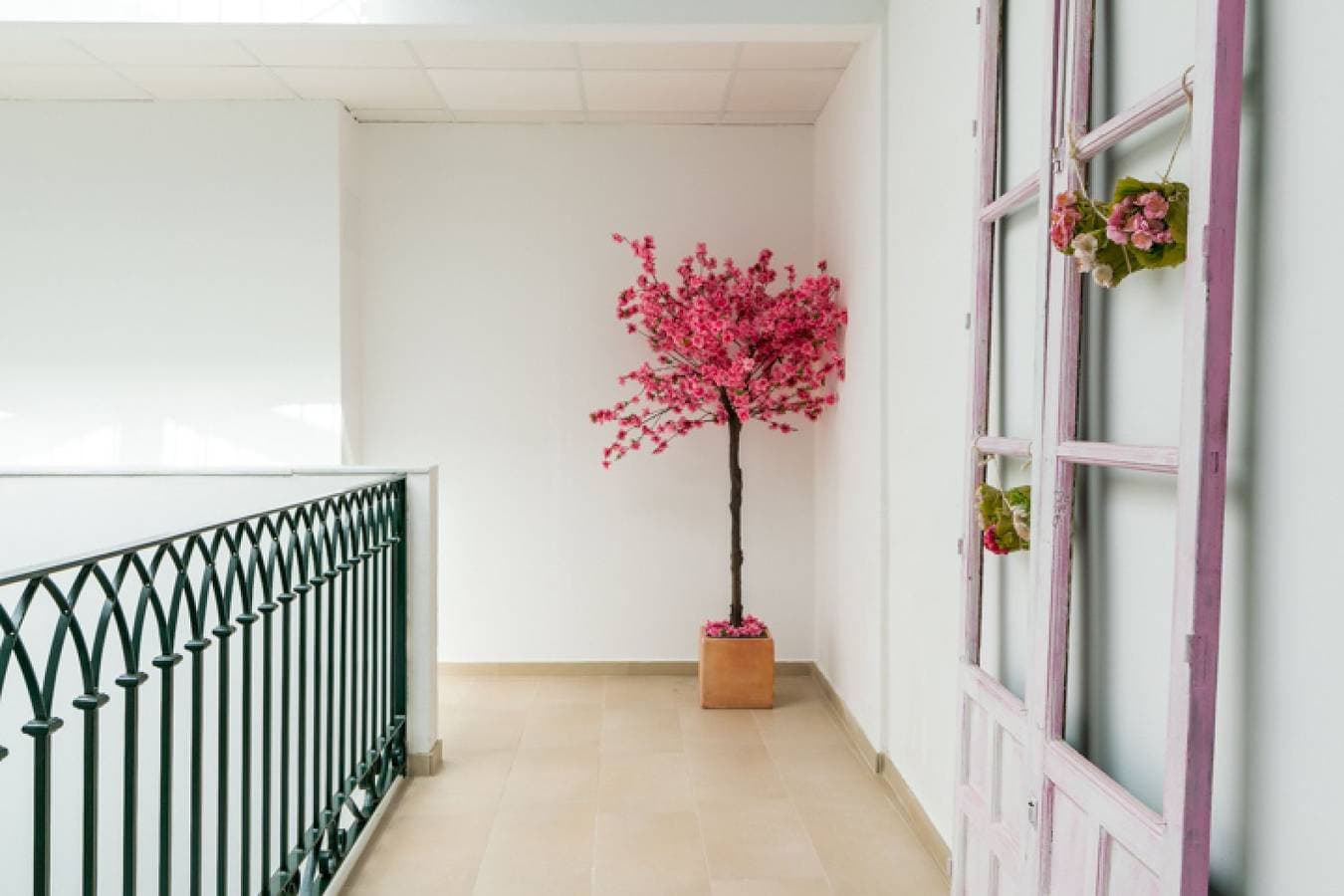 Foto 4 von 26: Ferienwohnung für 2 Personen mit Terrasse
