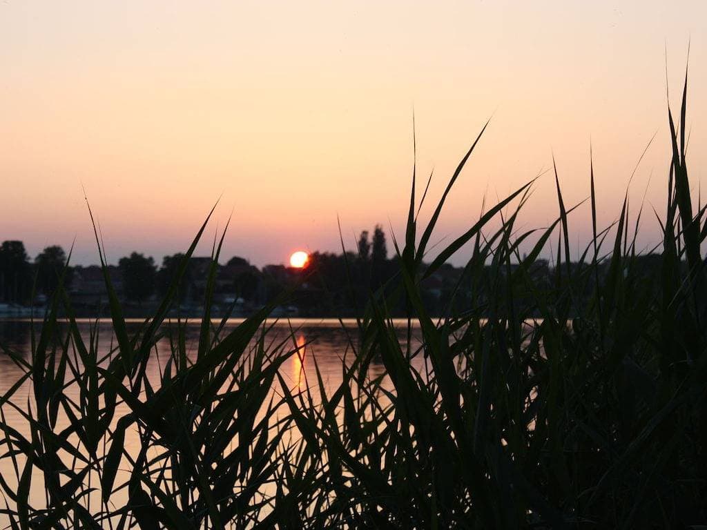 Foto 5 von 20: Winnewupp am Ruppiner See
