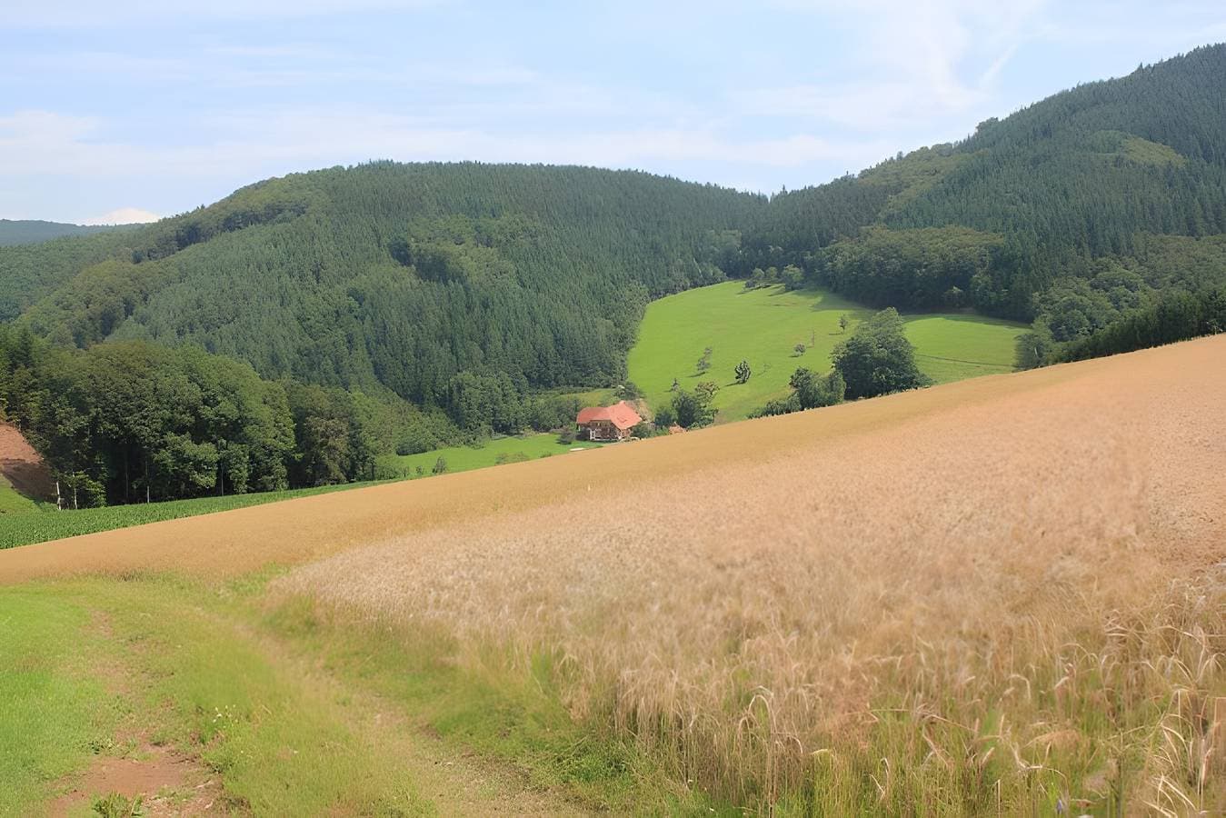 Foto 10 von 20: Ferienwohnung 'Schwalbennest' mit Bergblick, Balkon und Wi-Fi