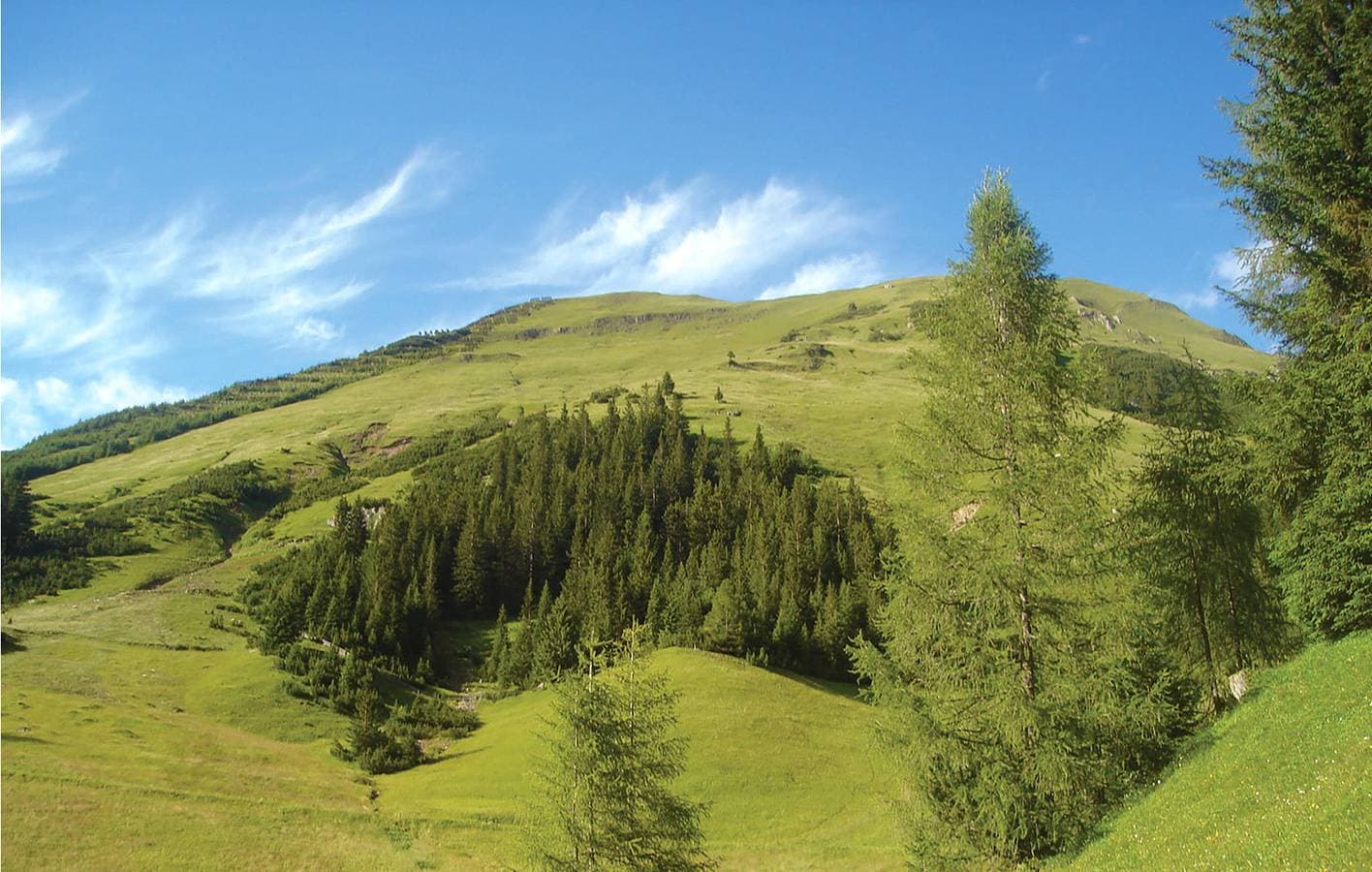 Foto 11 von 14: Pfafflar Bergblick Wohnung